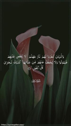 Faatir Ayah 36 - Arabic wallpaper