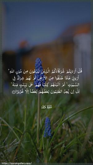 Faatir Ayah 40 - Arabic wallpaper