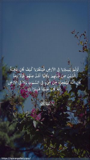 Faatir Ayah 44 - Arabic wallpaper