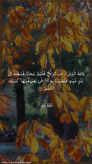 Faatir Ayah 9 - Arabic wallpaper