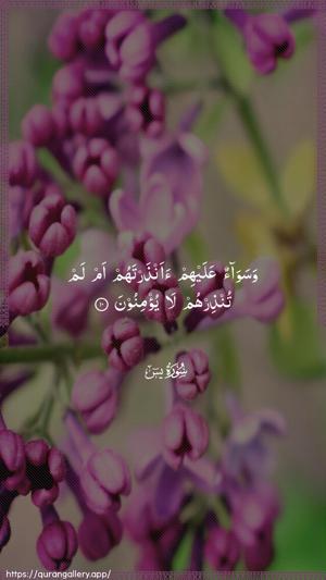 Yaseen Ayah 10 - Arabic wallpaper
