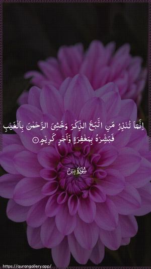 Yaseen Ayah 11 - Arabic wallpaper