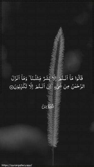 Yaseen Ayah 15 - Arabic wallpaper