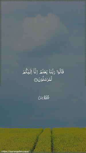Yaseen Ayah 16 - Arabic wallpaper