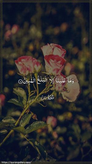 Yaseen Ayah 17 - Arabic wallpaper