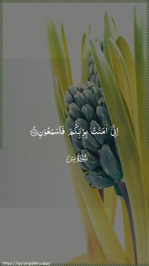 Yaseen Ayah 25 - Arabic wallpaper