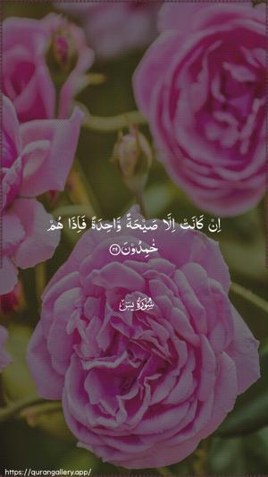 Yaseen Ayah 29 - Arabic wallpaper