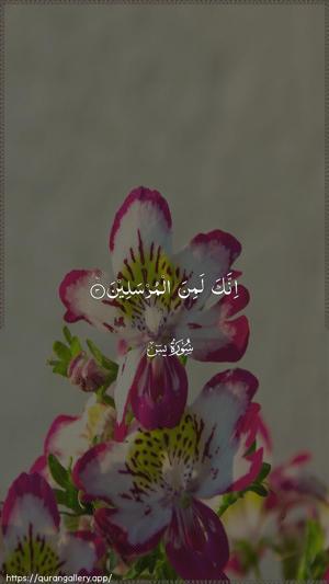 Yaseen Ayah 3 - Arabic wallpaper