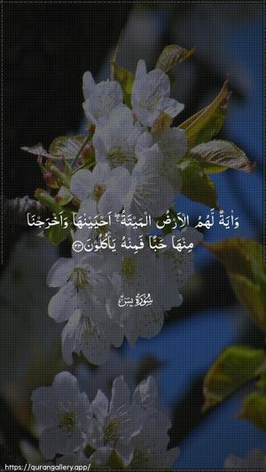 Yaseen Ayah 33 - Arabic wallpaper