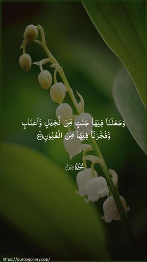 Yaseen Ayah 34 - Arabic wallpaper