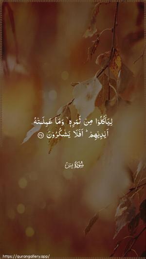 Yaseen Ayah 35 - Arabic wallpaper