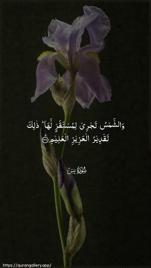 Yaseen Ayah 38 - Arabic wallpaper