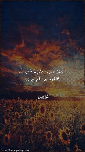 Yaseen Ayah 39 - Arabic wallpaper