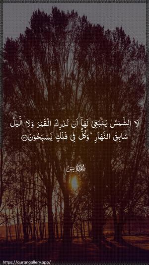 Yaseen Ayah 40 - Arabic wallpaper