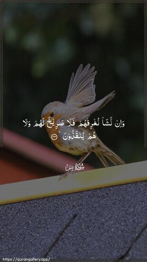 Yaseen Ayah 43 - Arabic wallpaper