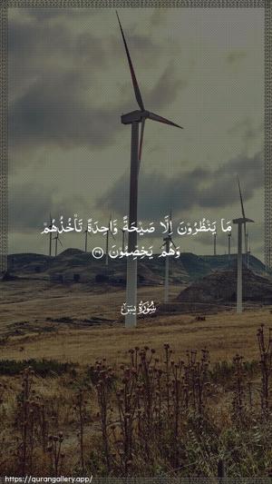Yaseen Ayah 49 - Arabic wallpaper