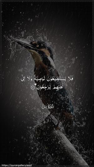 Yaseen Ayah 50 - Arabic wallpaper