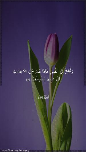 Yaseen Ayah 51 - Arabic wallpaper