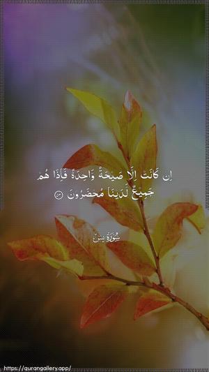 Yaseen Ayah 53 - Arabic wallpaper