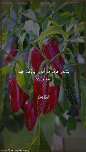 Yaseen Ayah 6 - Arabic wallpaper