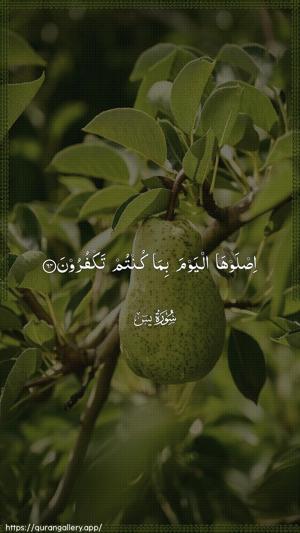 Yaseen Ayah 64 - Arabic wallpaper