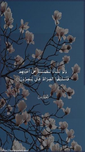 Yaseen Ayah 66 - Arabic wallpaper