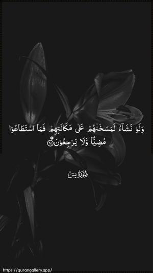 Yaseen Ayah 67 - Arabic wallpaper