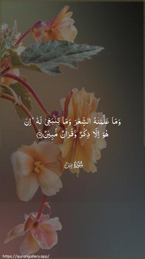 Yaseen Ayah 69 - Arabic wallpaper