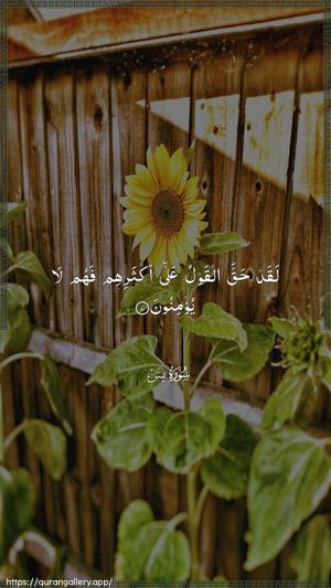Yaseen Ayah 7 - Arabic wallpaper