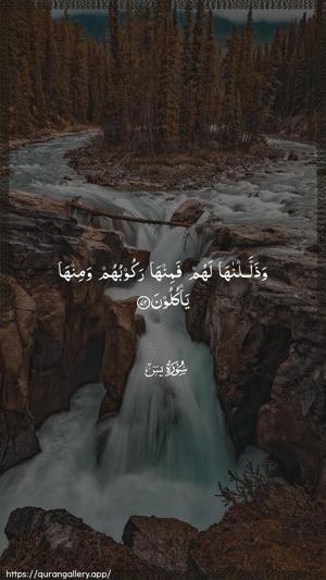 Yaseen Ayah 72 - Arabic wallpaper