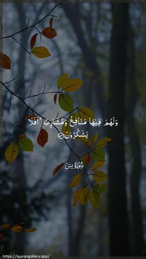 Yaseen Ayah 73 - Arabic wallpaper