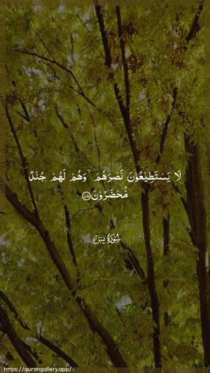 Yaseen Ayah 75 - Arabic wallpaper