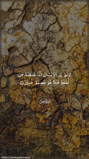 Yaseen Ayah 77 - Arabic wallpaper