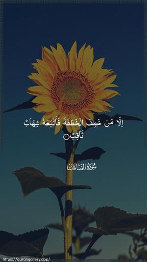 As-Saaffaat Ayah 10 - Arabic wallpaper