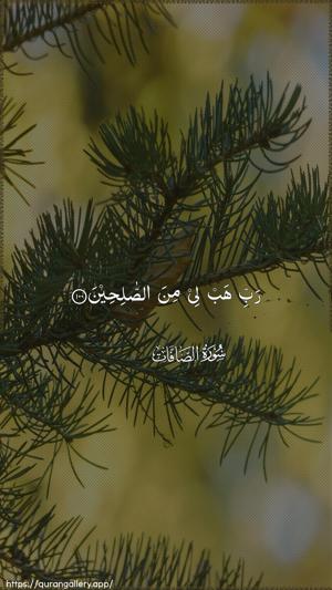 As-Saaffaat Ayah 100 - Arabic wallpaper