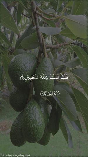 As-Saaffaat Ayah 103 - Arabic wallpaper