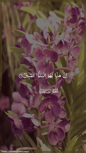 As-Saaffaat Ayah 106 - Arabic wallpaper