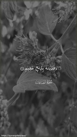 As-Saaffaat Ayah 107 - Arabic wallpaper