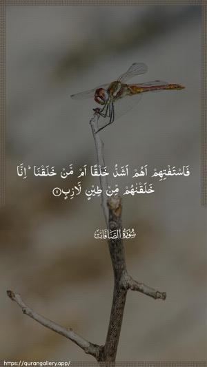 As-Saaffaat Ayah 11 - Arabic wallpaper