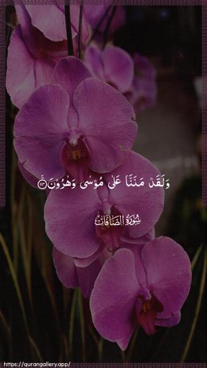 As-Saaffaat Ayah 114 - Arabic wallpaper