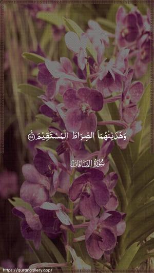 As-Saaffaat Ayah 118 - Arabic wallpaper
