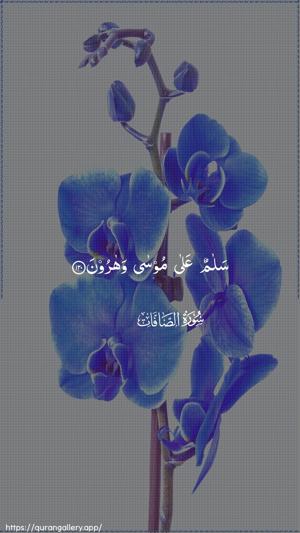 As-Saaffaat Ayah 120 - Arabic wallpaper