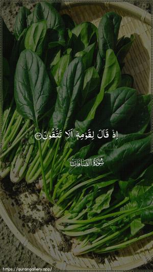 As-Saaffaat Ayah 124 - Arabic wallpaper