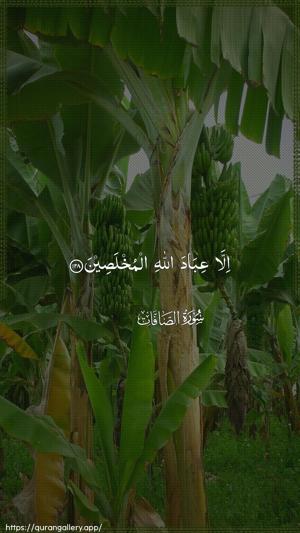 As-Saaffaat Ayah 128 - Arabic wallpaper