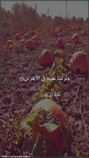 As-Saaffaat Ayah 129 - Arabic wallpaper