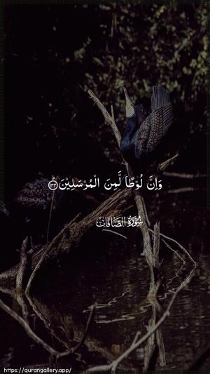 As-Saaffaat Ayah 133 - Arabic wallpaper