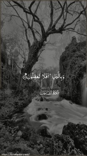 As-Saaffaat Ayah 138 - Arabic wallpaper