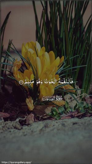 As-Saaffaat Ayah 142 - Arabic wallpaper