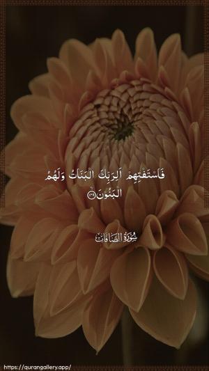 As-Saaffaat Ayah 149 - Arabic wallpaper