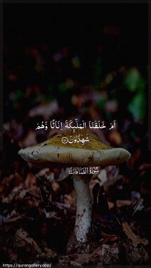 As-Saaffaat Ayah 150 - Arabic wallpaper